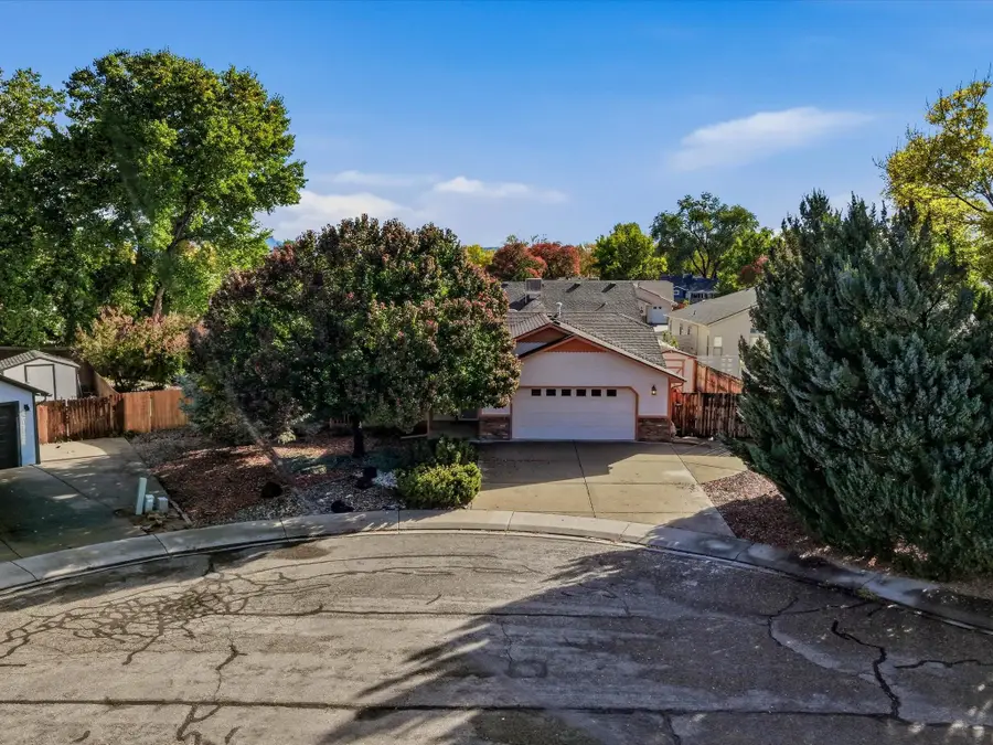462 Amelia Rose Court, Fruita, CO 81521 - #3