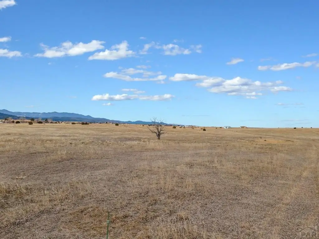 1122 Little Snake Dr, Colorado City, CO 81019 - #1