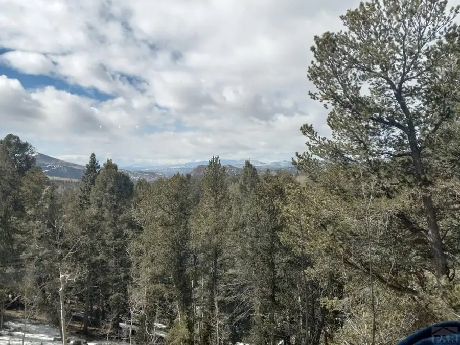 864 Wellington Dr, Cripple Creek, CO 80813 - Image #3
