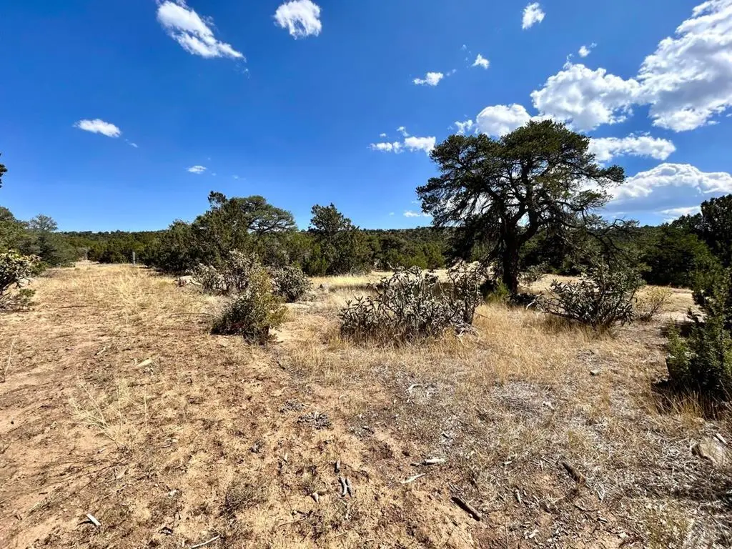 Lot 919 Los Vaqueros Cir., Walsenburg, CO 81089 - Image #1