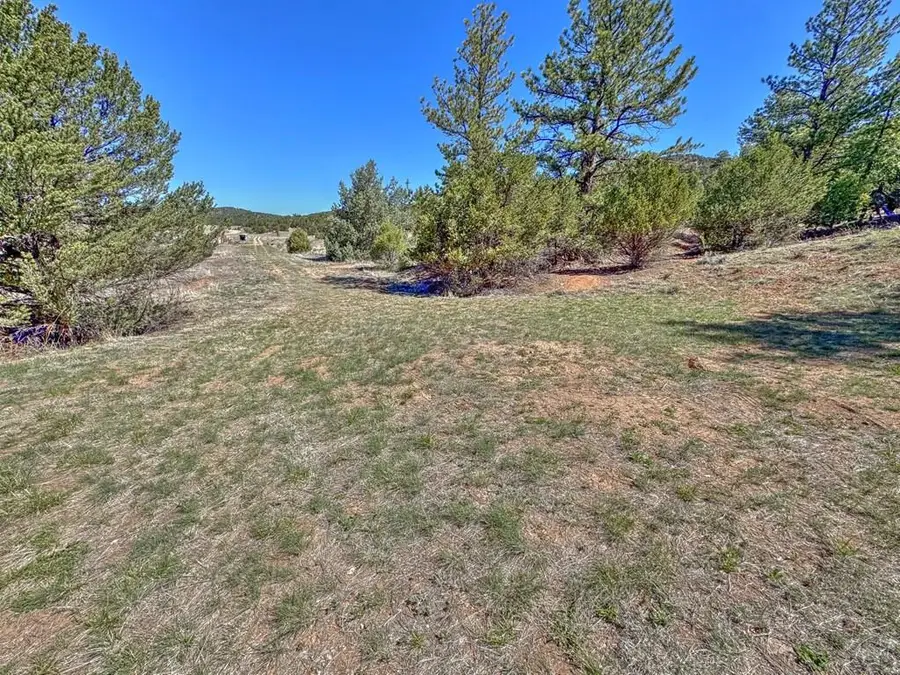 176 Bel Air Way, Cotopaxi, CO 81223 - #2