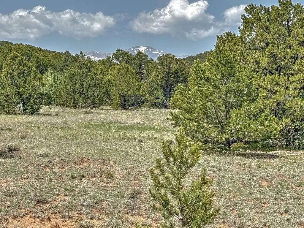 TBD Lot 34 Corral North, Cotopaxi, CO 81223 - #1