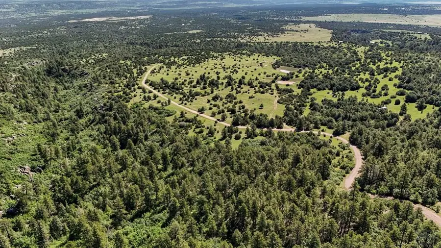 TBD Old Homestead Ln, Beulah, CO 81023 - Image #3