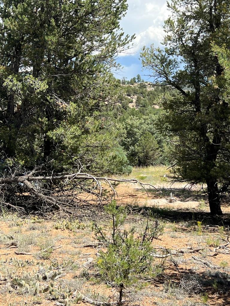 216 Westview Rd, Cotopaxi, CO 81223 - Image #2