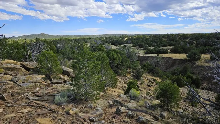 776 Rio Cucharas, Walsenburg, CO 81089 - Image #2