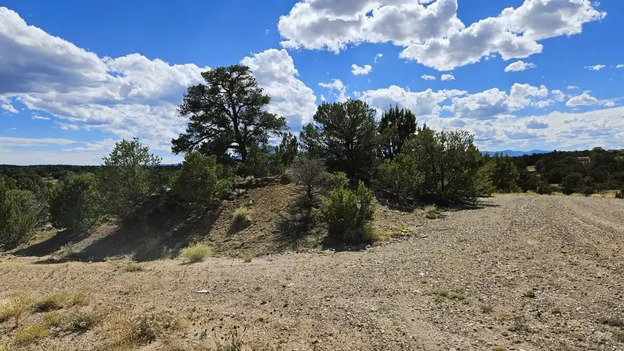 776 Rio Cucharas, Walsenburg, CO 81089 - Image #3