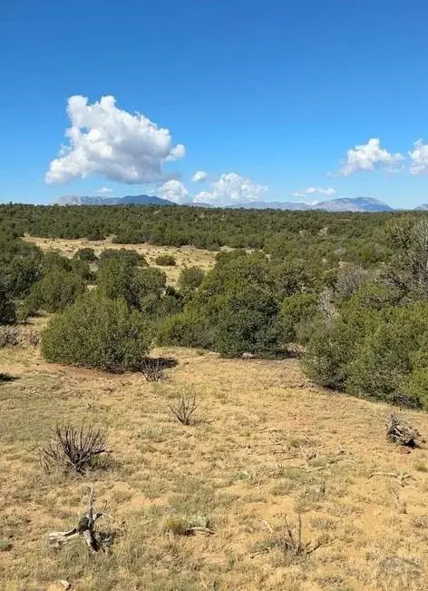 LOT 463 Rio Cucharas, Walsenburg, CO 81089 - #2