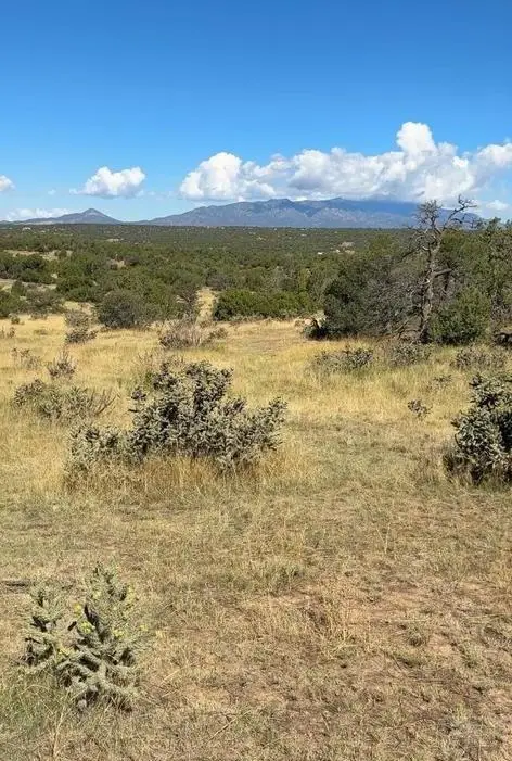 LOT 463 Rio Cucharas, Walsenburg, CO 81089 - #3