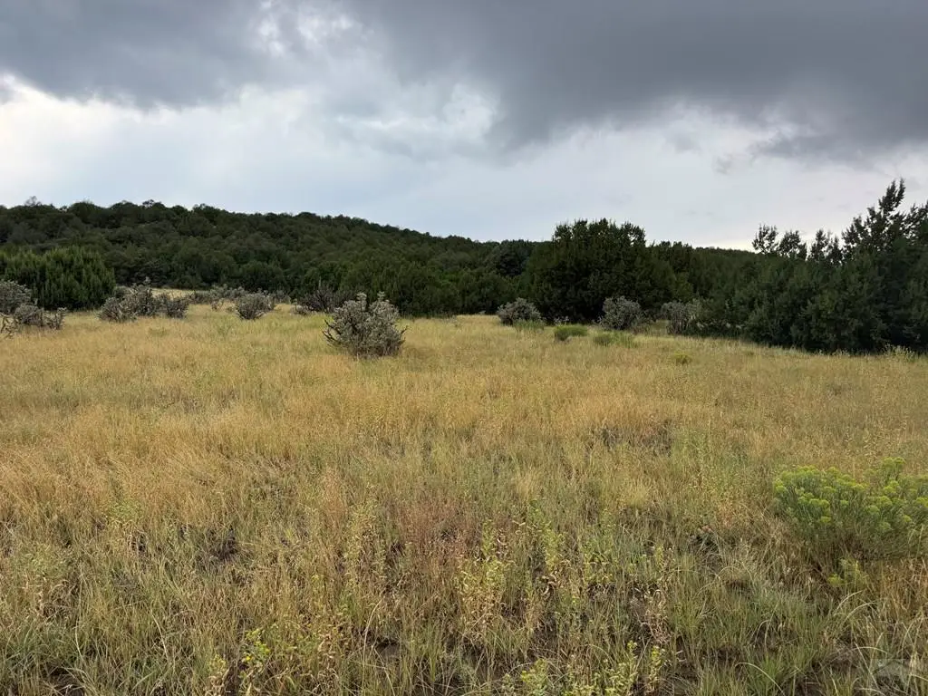 TBD Reins Rd, Walsenburg, CO 81089 - Image #1