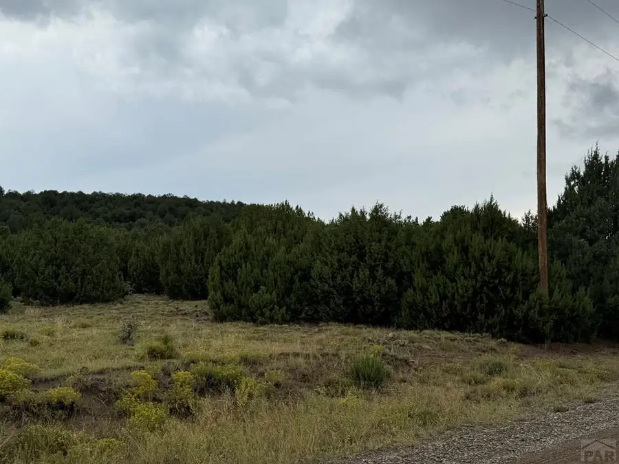 TBD Reins Rd, Walsenburg, CO 81089 - Image #3