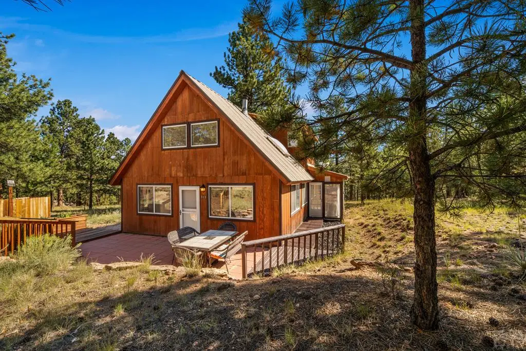 111 Sioux Trail, Westcliffe, CO 81252 - #1