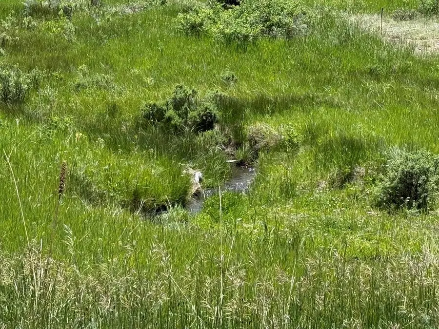 7700 Junkins Loop, Westcliffe, CO 81252 - Image #2