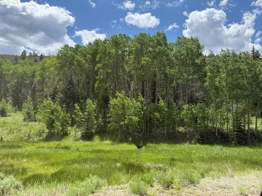 7700 Junkins Loop, Westcliffe, CO 81252 - Image #3