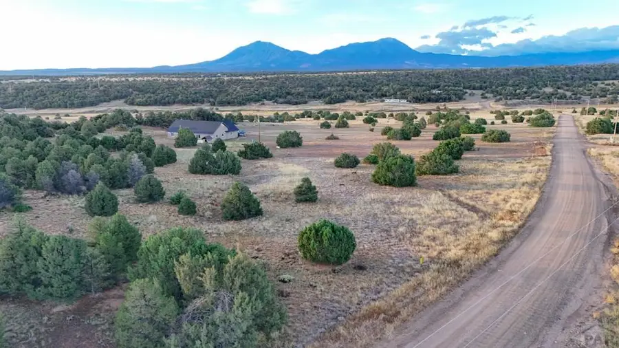 TBD Lot 133 Navajo Ranch Resort, Walsenburg, CO 81089 - Image #3