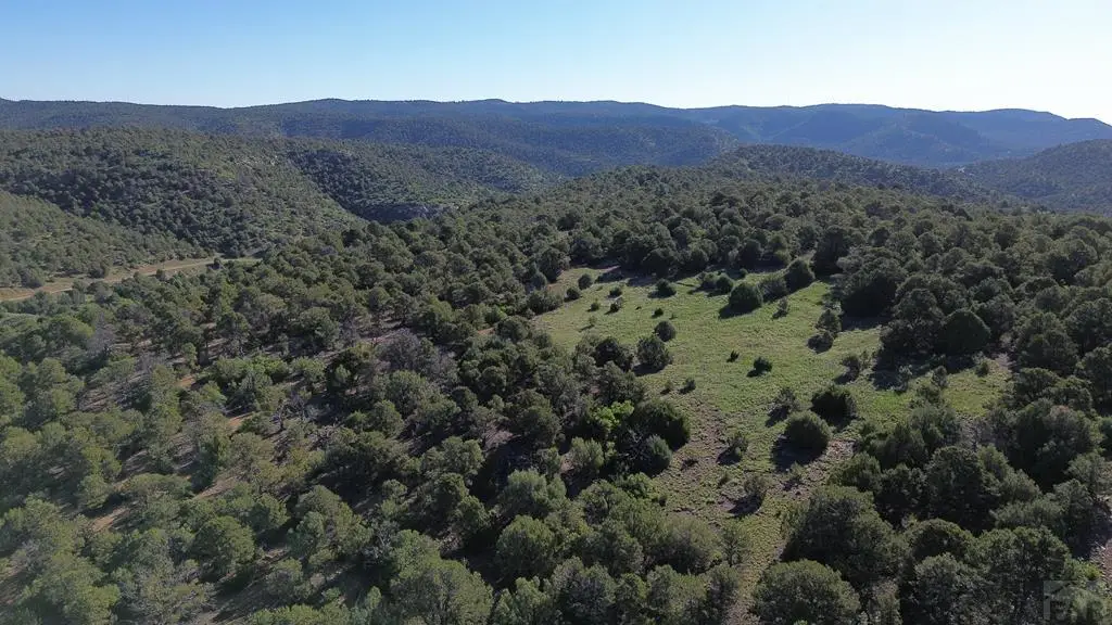 16198 Picketwire Rd, Bon Carbo, CO 81024 - Image #1