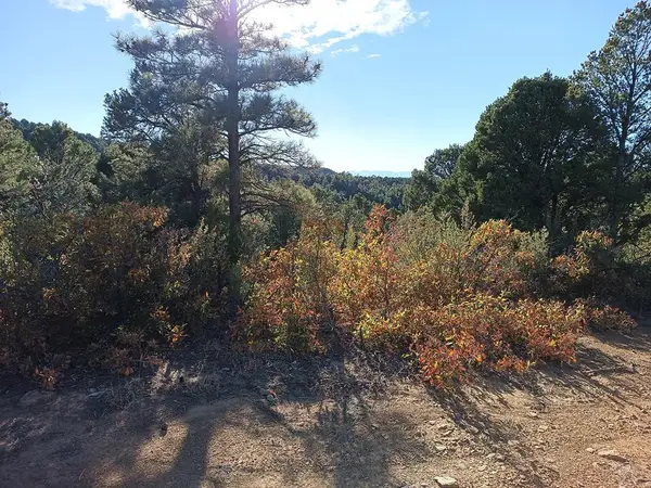 LOT 86 Ponderosa Hills, Trinidad, CO 81082