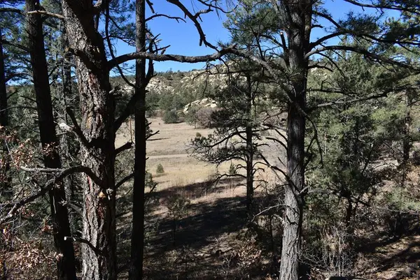 Lot 268-269 Rancho La Garita, Weston, CO 81091