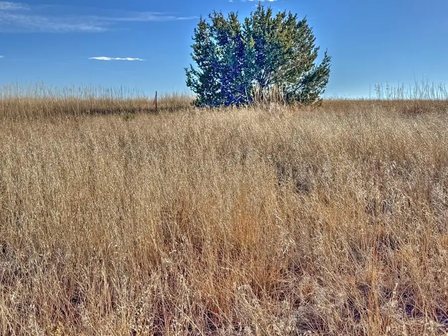 TBD-L309 Morgan Place, Colorado City, CO 81019 - #3