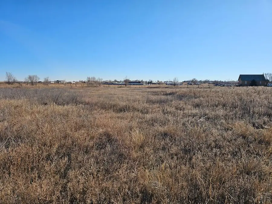 BLK 7 Lot 1 Adams St, Hasty, CO 81044 - Image #2