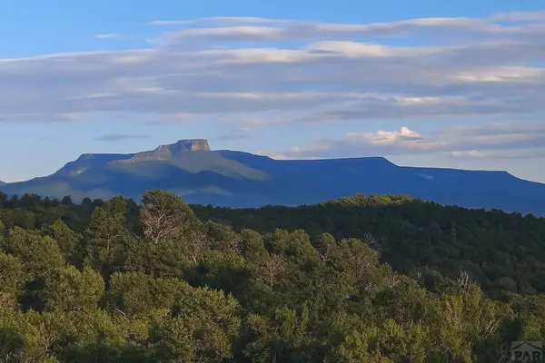 14585 Indian Springs Dr, Trinidad, CO 81082