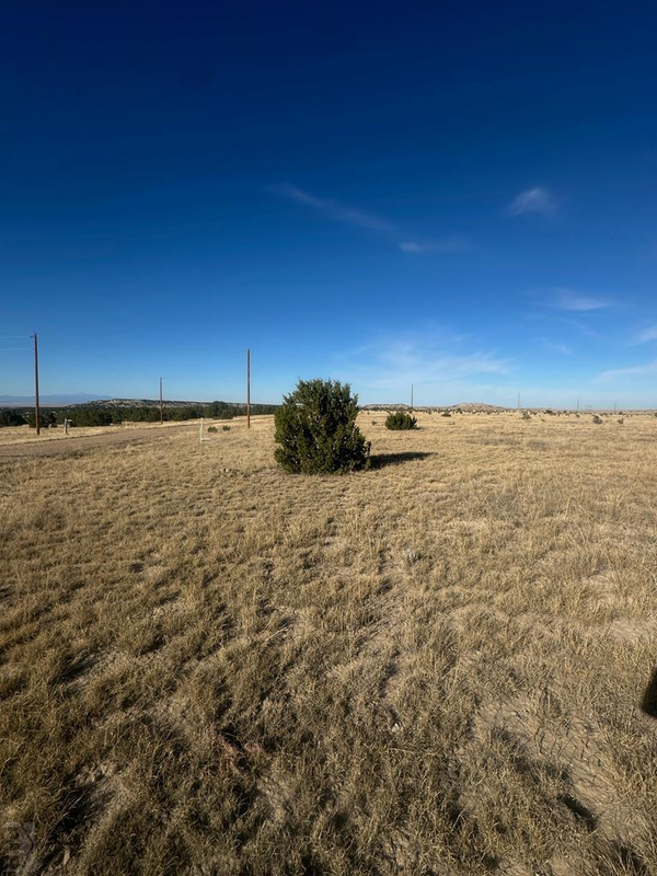 lot 11 Cedarwood Station, Rye, CO 81004