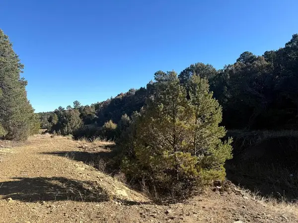 8100 La Belle Trail, Trinidad, CO 81082