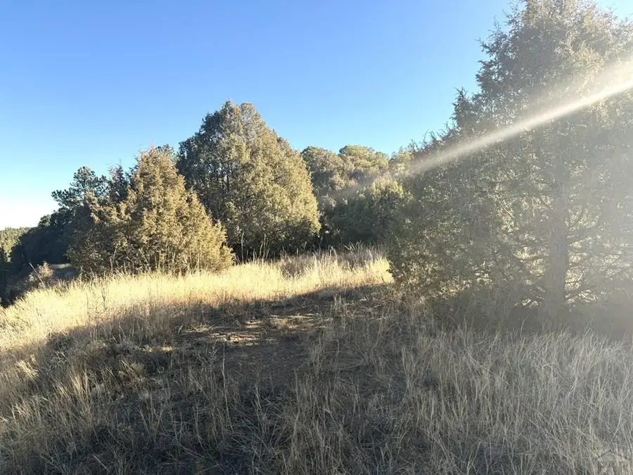 8100 La Belle Trail, Trinidad, CO 81082 - #2