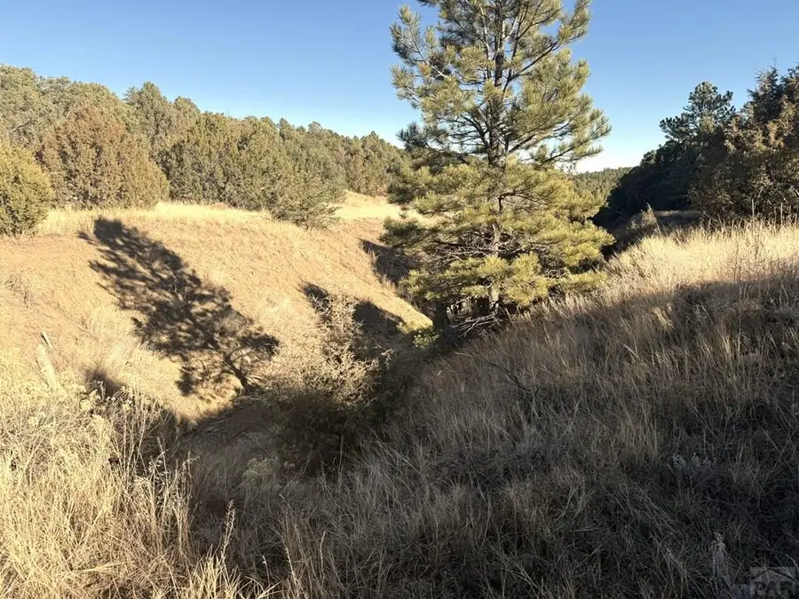 8100 La Belle Trail, Trinidad, CO 81082 - #3