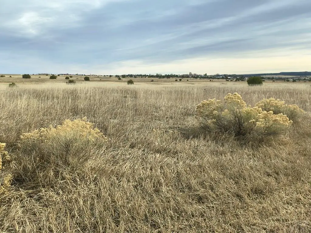 Lot 759 Jefferson Blvd, Colorado City, CO 81019 - Image #1