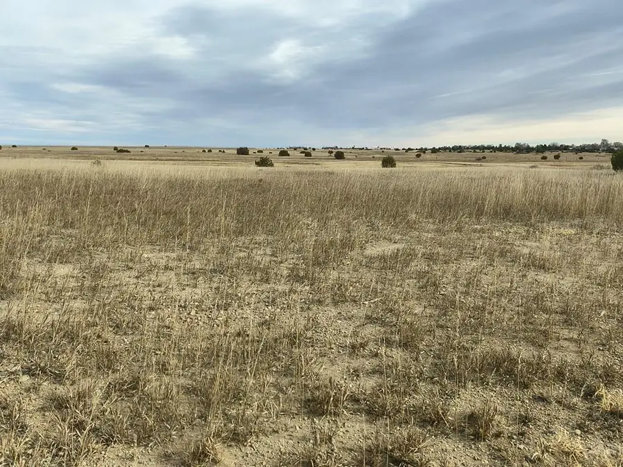 Lot 759 Jefferson Blvd, Colorado City, CO 81019 - Image #3