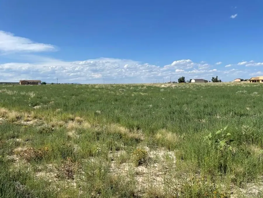 1644 N Calle Rosa Place, Pueblo West, CO 81007 - Image #3