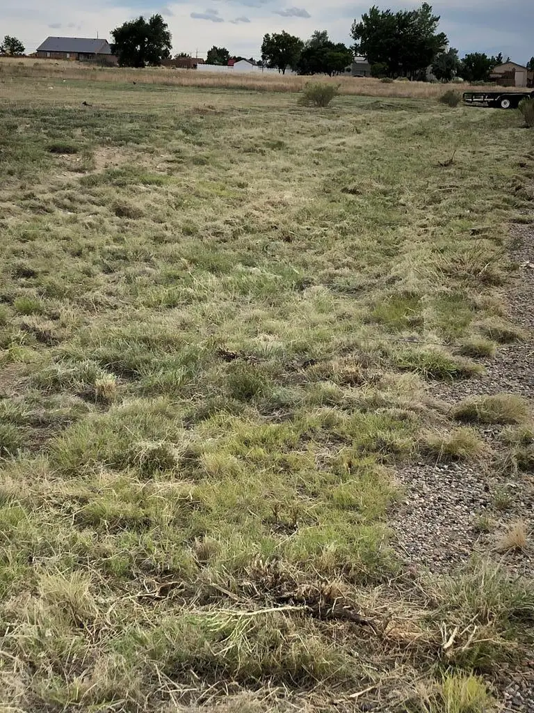 213 S Tiffany Dr, Pueblo West, CO 81007 - Image #1