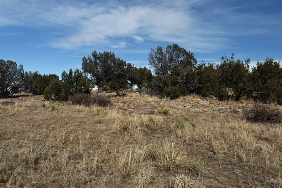 Lot 100 Narrow Gauge Way, Rye, CO 81069 - Image #3