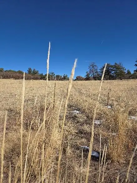 304 Hazel Court, Canon City, CO 81212 - Image #2