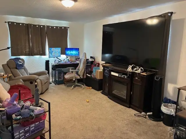 1109 W Mesa Ave, Pueblo, CO 81004 - Image #2