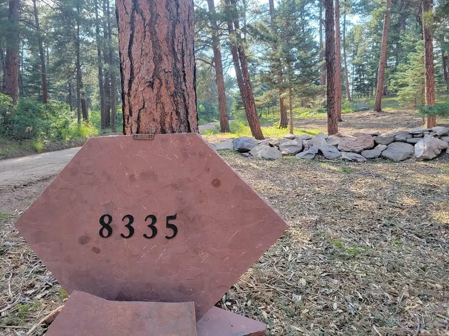 8335 Zorn Rd, Rye, CO 81069 - Image #2