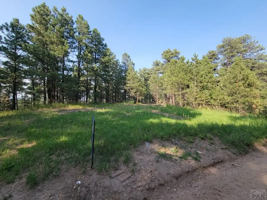 8335 Zorn Rd, Rye, CO 81069 - Image #3