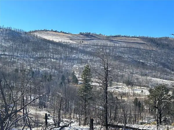 Lot 1039 Forbes Pk, Fort Garland, CO 81133