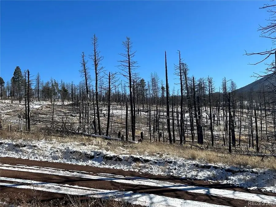 Lot 1039 Forbes Pk, Fort Garland, CO 81133 - #2