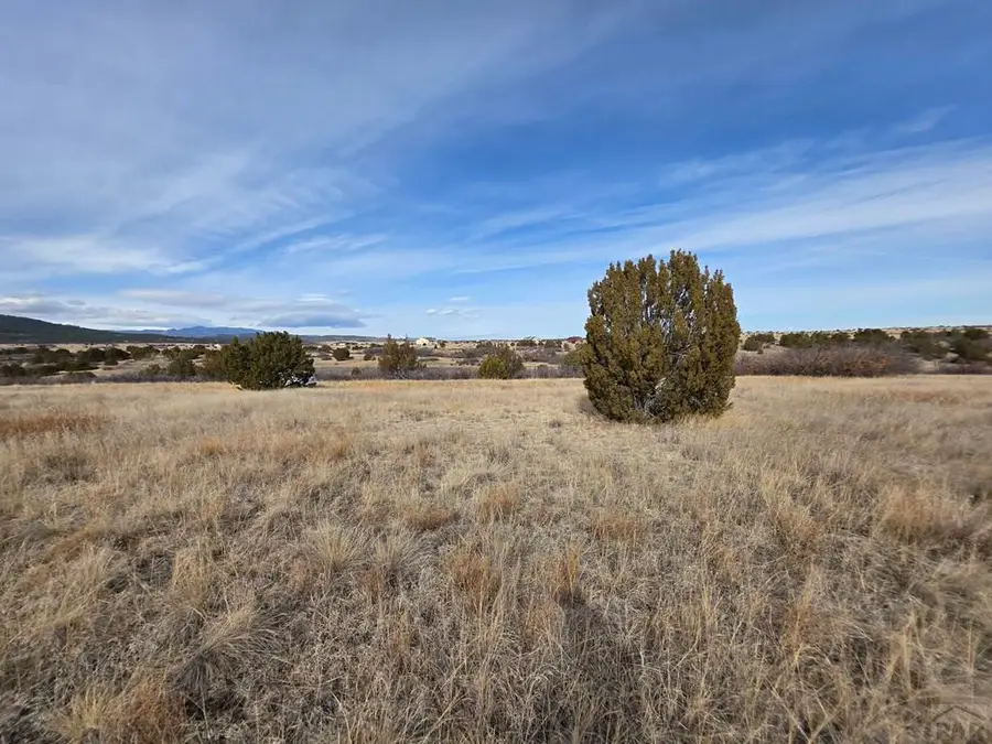 Lot 128 Fort Gerry Dr, Colorado City, CO 81019 - #2
