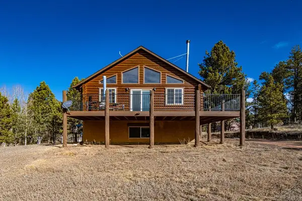 73 Big Horn Ln, Florissant, CO 80816