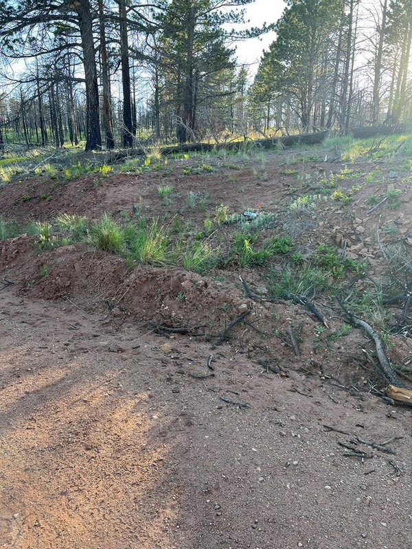 Lot 542 Forbes Pk, Fort Garland, CO 81133