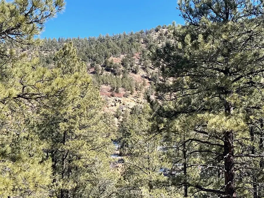 TBD County Rd 23.3, Weston, CO 81091 - #3