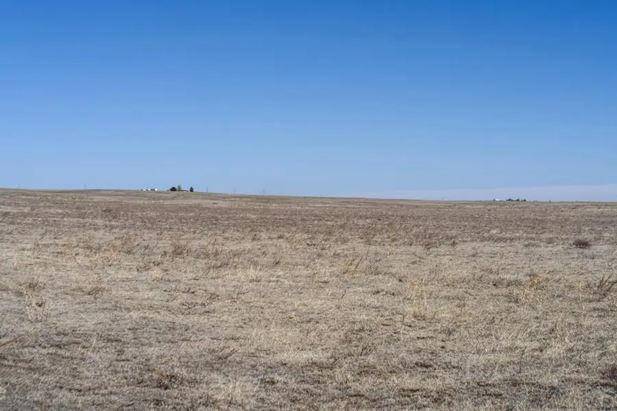 35800 Hanisch Rd, Black Forest Peyton, CO 80801 - #2