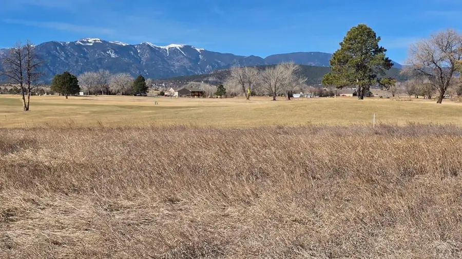 LOT 14 N Parkway, Colorado City, CO 81019 - #3