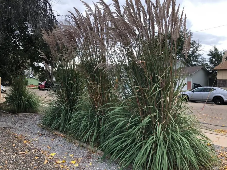 2690 Sherwood Lane, Pueblo, CO 81005 - #2