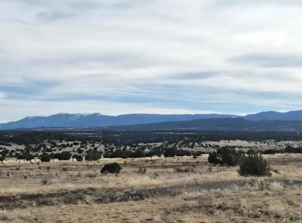 7872 W State Hwy 96, Pueblo, CO 81005 - #1