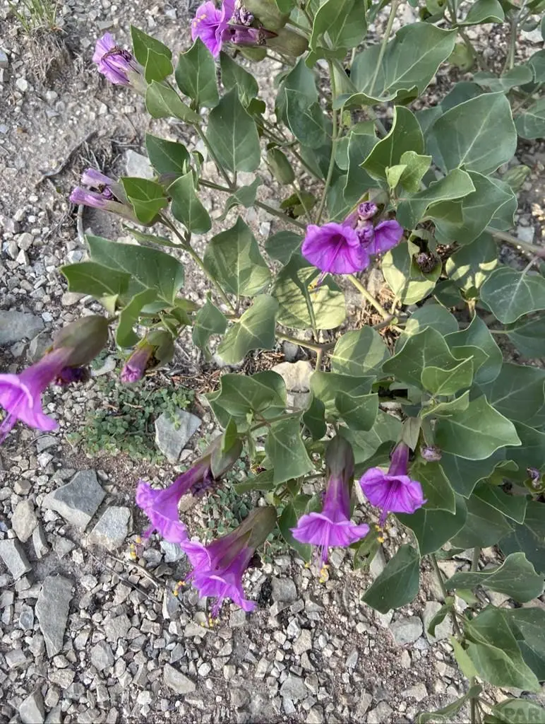 7872 W State Hwy 96, Pueblo, CO 81005 - #3