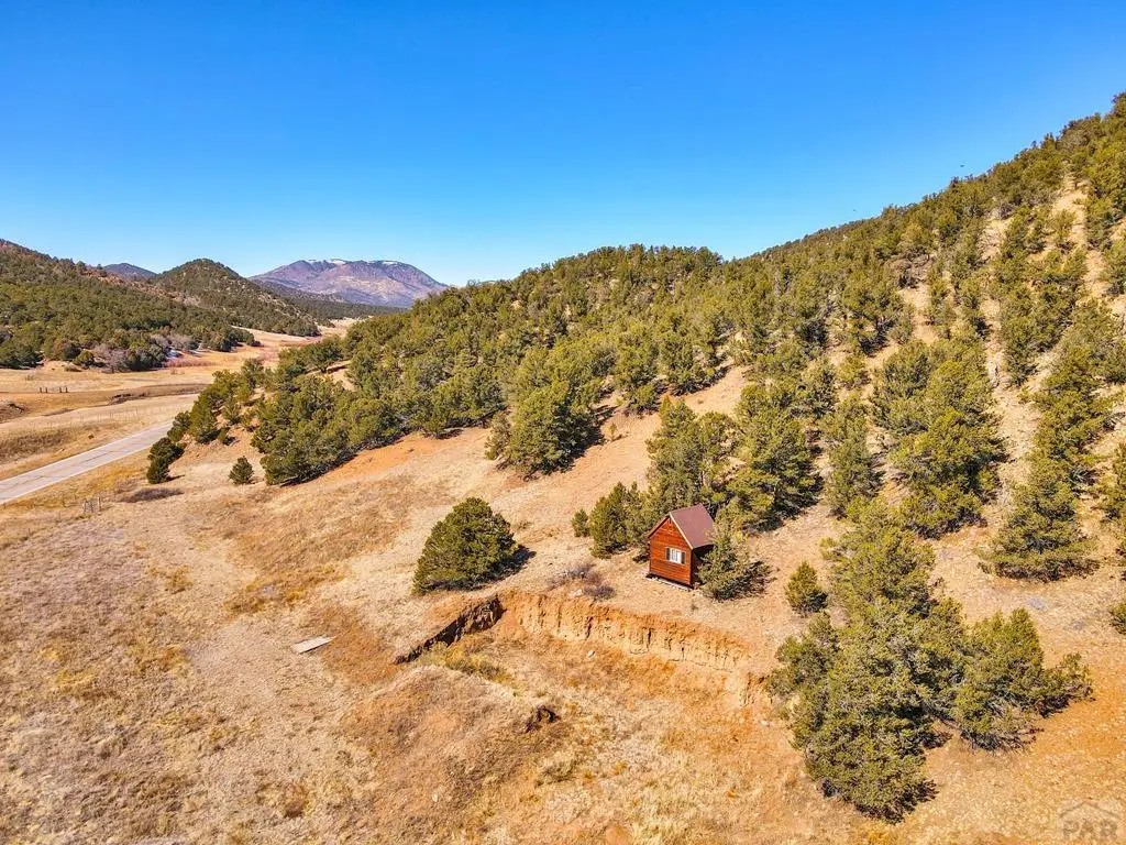 155 Horse Thief Gulch Rd, Canon City, CO 81212 - #1