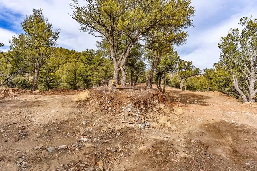 155 Horse Thief Gulch Rd, Canon City, CO 81212 - #3